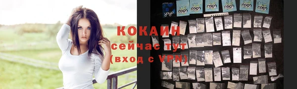 метамфетамин Каменка