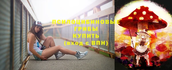 марки nbome Каменногорск