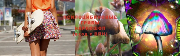 марки nbome Каменногорск
